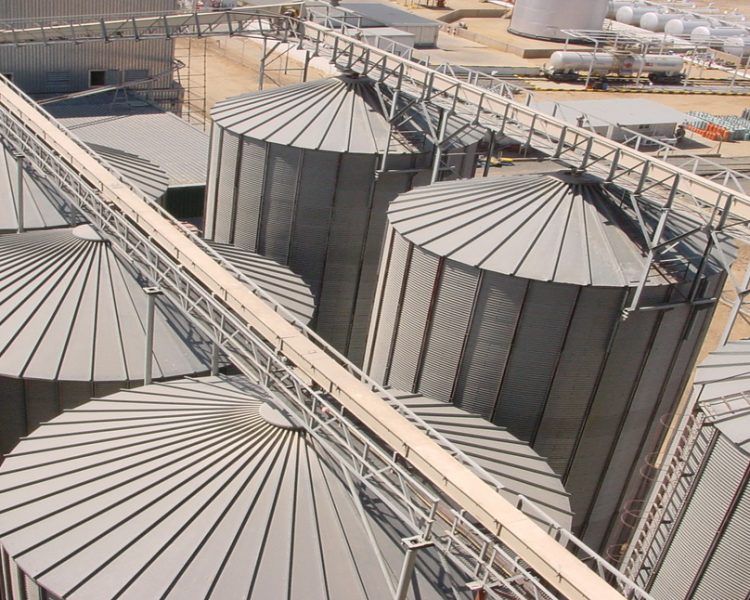 Namib Mills Investment Group Unveils Groundbreaking Carbon Emission Reduction Project